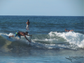 Punta Sayulita Classic 2014 - Stand Up Paddle - Photo 12